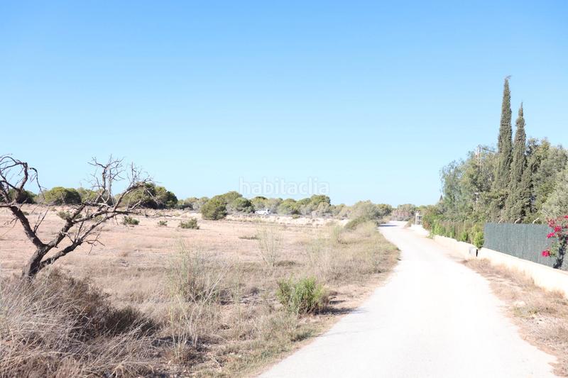 Foto bd272d9c-e0d7-4a92-9b03-4e1197a4c839. Finca rústica en Valverde Elche / Elx