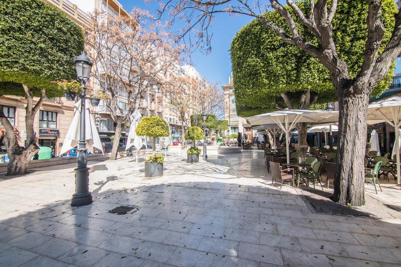 Foto 6a83d6e7-c8ba-4881-8954-66c20177e71b. Pis a Centro Elche / Elx