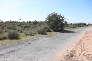 Finca rústica a Partida perleta 1184. Gran oportunidad