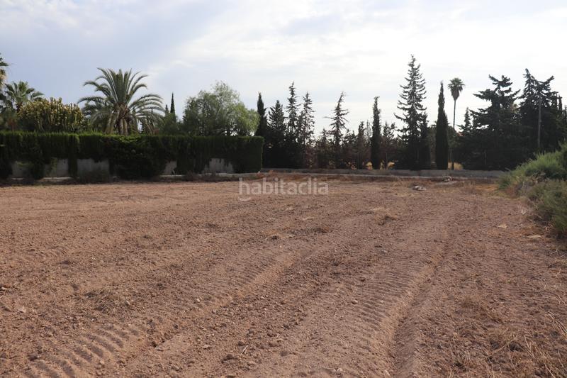 Foto 05bac9e0-0c55-4b77-b3ca-6d2211542f13. Rural plot in Perleta - Maitino Elche / Elx