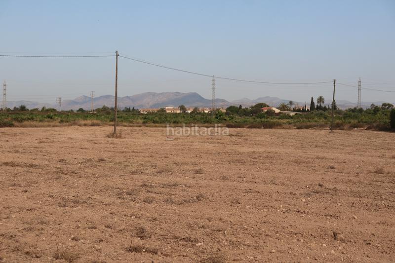 Foto 09a3e8ad-83a6-4f8a-b044-aec0965b806c. Rural plot in Perleta - Maitino Elche / Elx