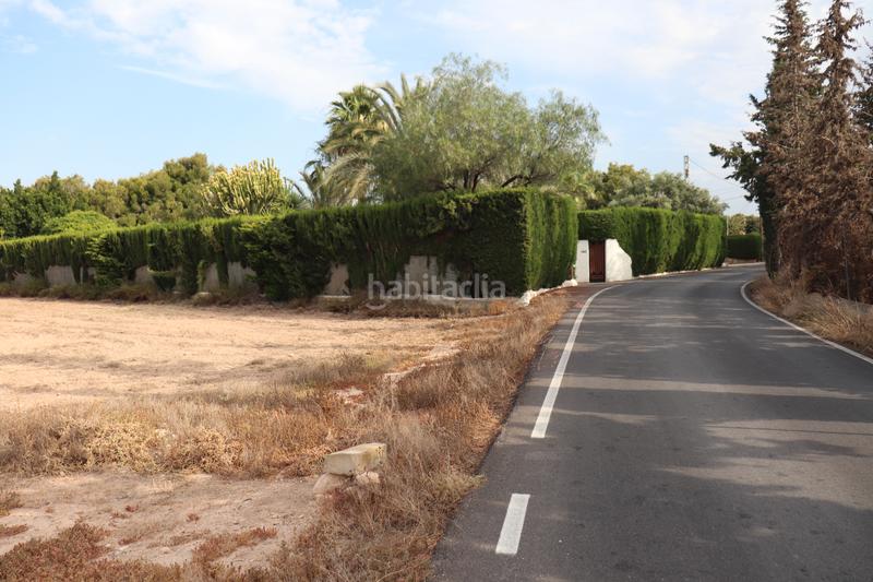 Foto 11dc1dba-2624-4e1b-a3d5-31c4c9bfde84. Rural plot in Perleta - Maitino Elche / Elx