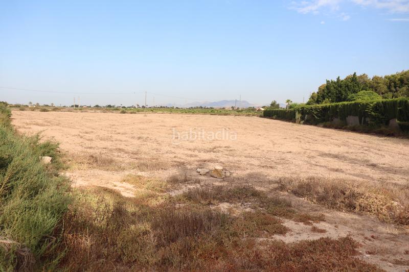 Foto 17218037-07df-4b59-acef-9720ea3d4382. Rural plot in Perleta - Maitino Elche / Elx