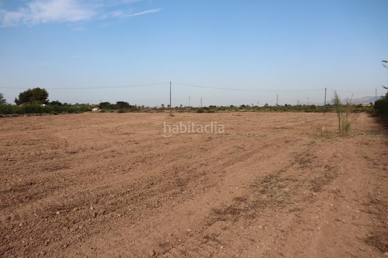 Foto 304aec7b-d1f9-4723-ba1d-e92fc2dbabca. Rural plot in Perleta - Maitino Elche / Elx