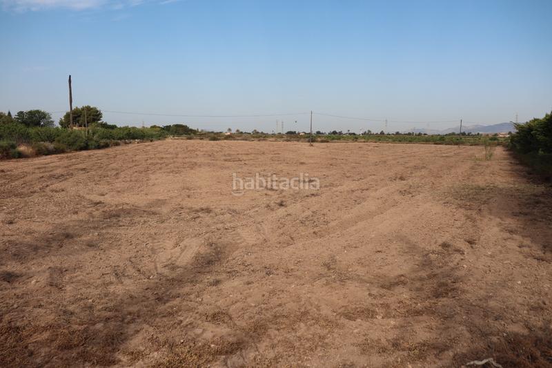 Foto 4f0162f6-49fe-4f80-812f-11f84ddab9f8. Rural plot in Perleta - Maitino Elche / Elx