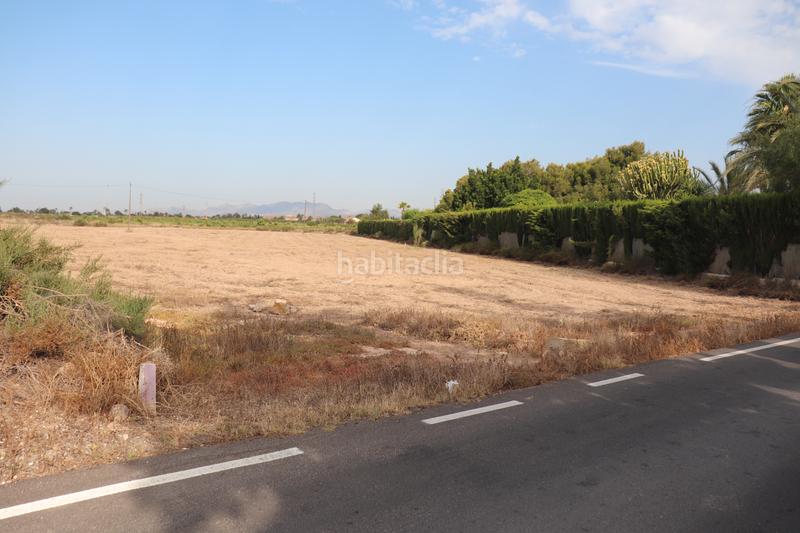 Foto 8dd89fcc-492d-48c6-b71f-7f77f69c0a99. Rural plot in Perleta - Maitino Elche / Elx