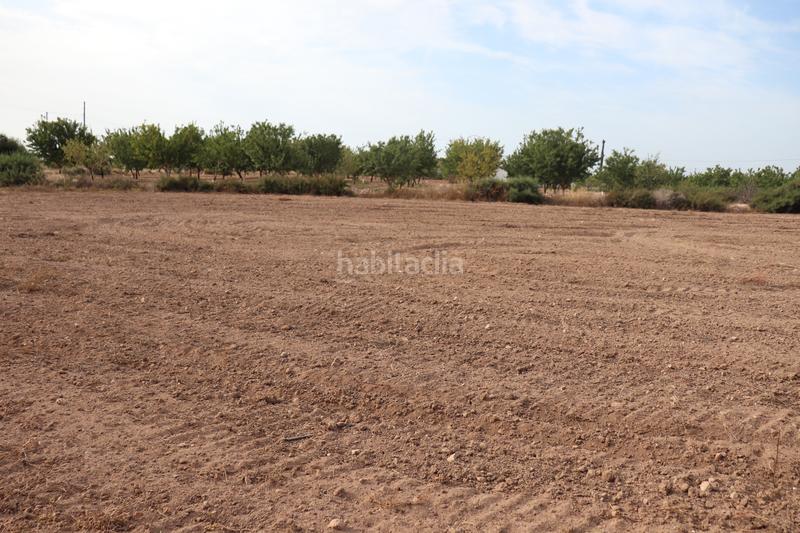 Foto bef2c741-7ebf-4971-b11c-70ae0c545f8d. Rural plot in Perleta - Maitino Elche / Elx