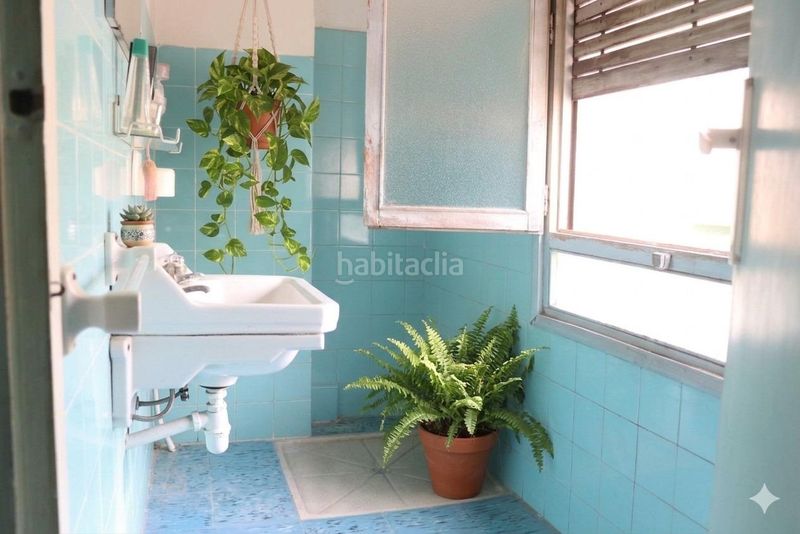 Foto 0dd9759d-c9fe-4a9b-b3bd-546bed3a2f4d. Pis a Centro Elche / Elx