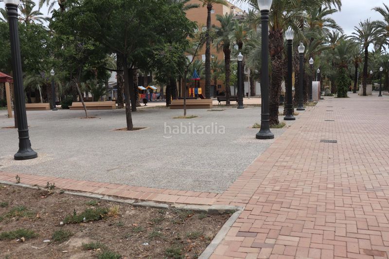 Foto d5dc796b-9626-4825-8eee-d9cfd6d19004. Pis a Centro Elche / Elx