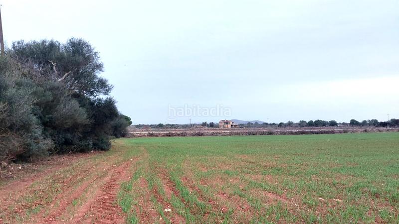 Foto 0dcc4cd4-c534-4c78-a42c-b2d2081f026d. Terreny residencial a Felanitx poble Felanitx