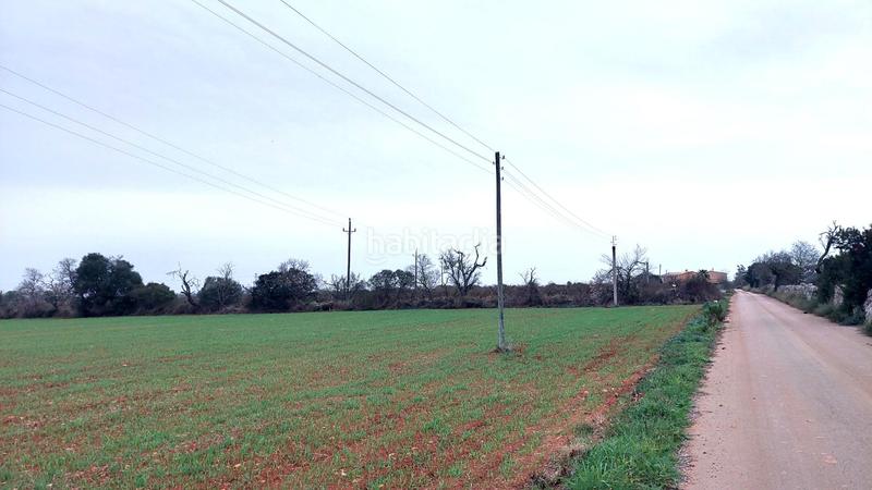 Foto 34ace2eb-879e-4e09-900b-2c4e7165a9cd. Terreny residencial a Felanitx poble Felanitx