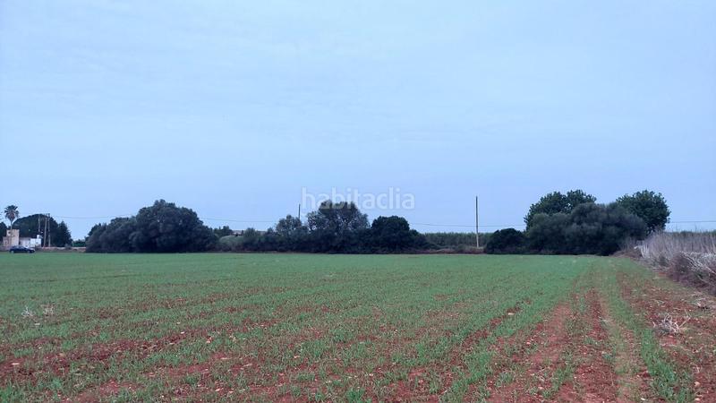 Foto c7c7bad6-9ff3-43ed-a636-8beb32f571c7. Terreny residencial a Felanitx poble Felanitx