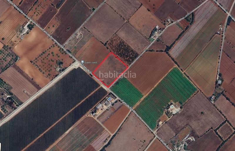 Foto e403b1dd-352e-4bdb-8cff-7b3dbae07a8c. Terreny residencial a Felanitx poble Felanitx