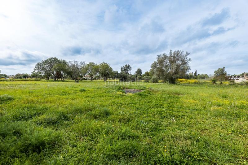 Foto afd15bdb-5eaa-4484-8e35-a504ae088a71. Mas avec chauffage parking piscine dans Llucmajor interior Llucmajor