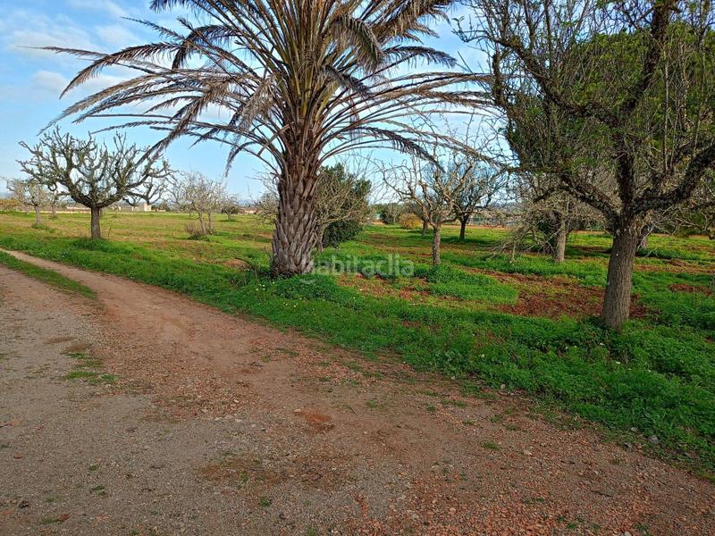 Foto 3491b2ee-046c-4d68-ad7a-1512281f2e45. Masía casa rural con amplia extensión de terreno. en Felanitx
