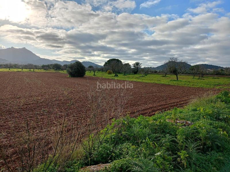Foto 54e869ca-dd9e-4691-9724-e1b37d47c8a2. Masía casa rural con amplia extensión de terreno. en Felanitx