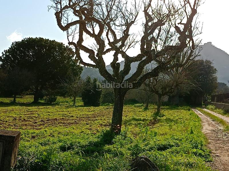 Foto 7a4e9c56-38fe-48c0-a9d6-b3f253053e17. Masía casa rural con amplia extensión de terreno. en Felanitx