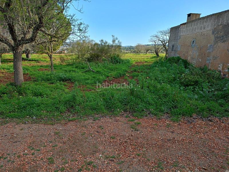 Foto 9bdc6387-c20f-4b4b-bfa2-6ee0164327ed. Masía casa rural con amplia extensión de terreno. en Felanitx
