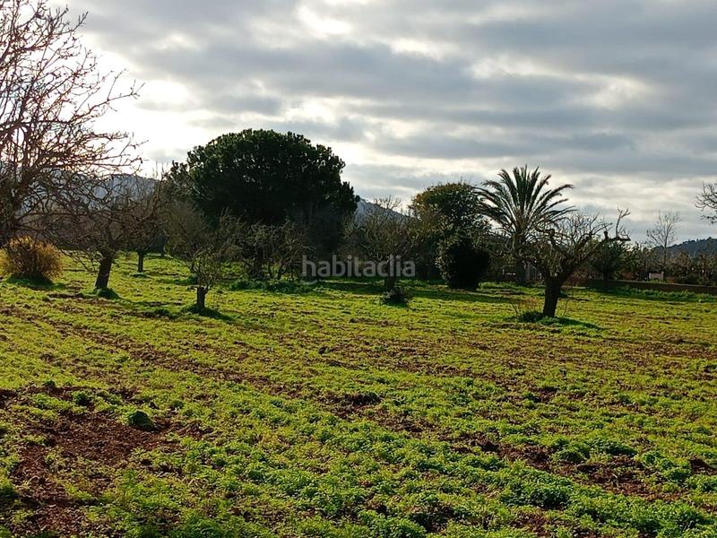 Foto c0c2df55-8ebc-42fe-8ea0-9a9bf492de1f. Masía casa rural con amplia extensión de terreno. en Felanitx