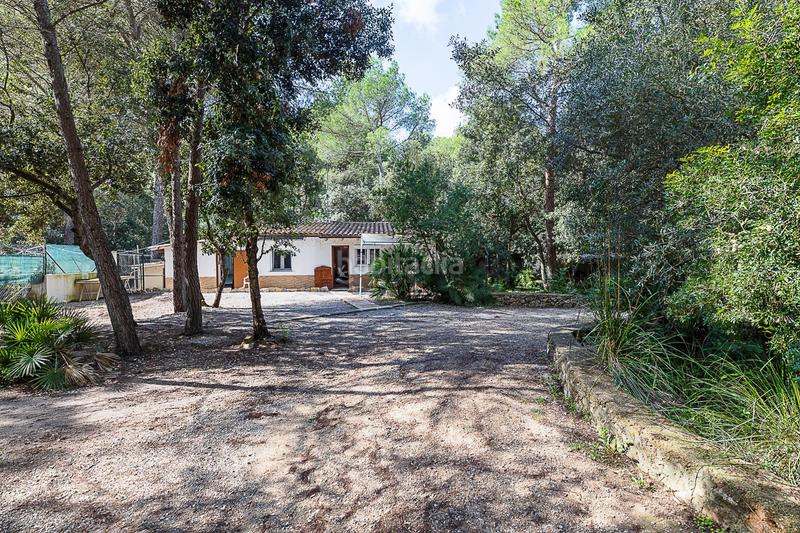 Foto 020238a8-6e42-45e9-b646-9c780c117b0a. Masía peculiar propiedad rústica con dos viviendas en Capdepera