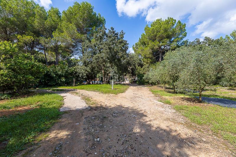 Foto 3dcea8bc-40b9-41e8-8722-bb8686095dd6. Masía peculiar propiedad rústica con dos viviendas en Capdepera