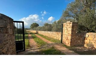 Casale  Urbanizacion de comuna. Finca rústica con múltiples edificaciones y gran potencial.