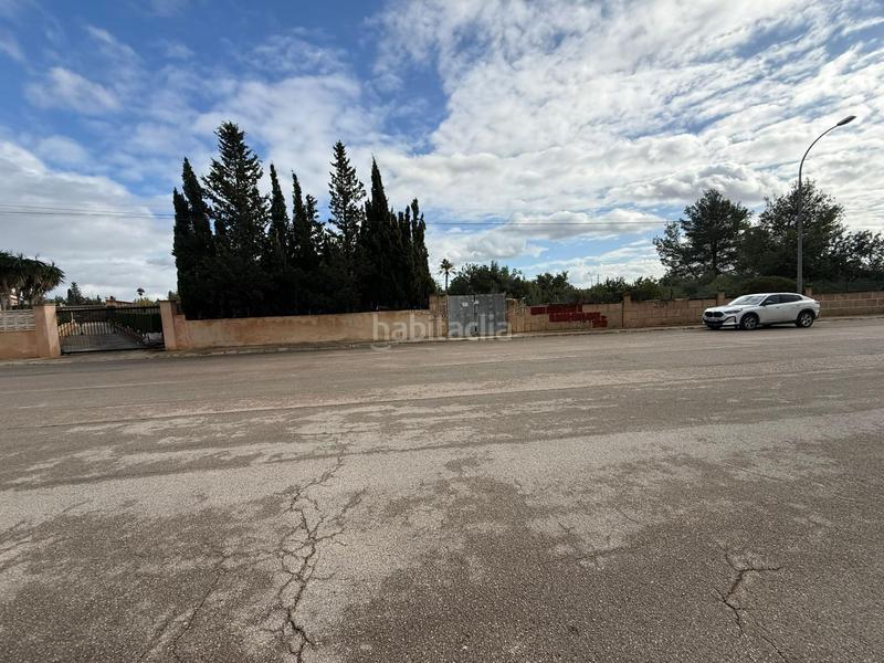 Foto f508552e-7e3c-4958-a9fc-03bf29d05ba0. Terreny residencial a Es Garrovers Marratxí