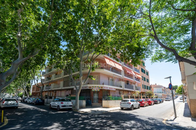 Foto ff2fc6f6-10b5-4a1c-89d6-ed0cd13d8c37. Pis amb calefacció a Son Serra-Sa Vileta Palma de Mallorca