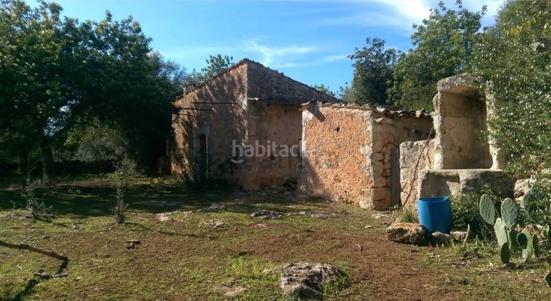 Foto 055c7c31-578a-4ea6-b4b8-101347cdc16e. FInca rústica a llubi - polígono 7 a Zona Periurbana Inca