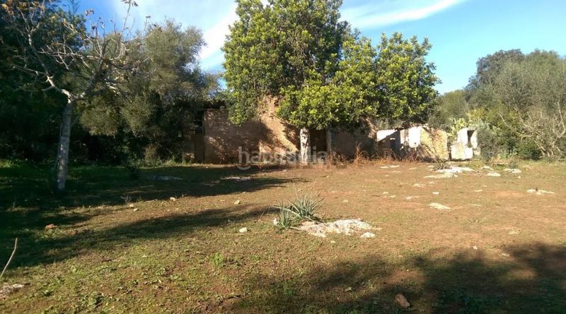 Foto 3d59dc8f-9004-4f26-8332-6cd595d59ca5. FInca rústica a llubi - polígono 7 a Zona Periurbana Inca