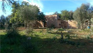 Finca rústica a llubi - Polígono 7