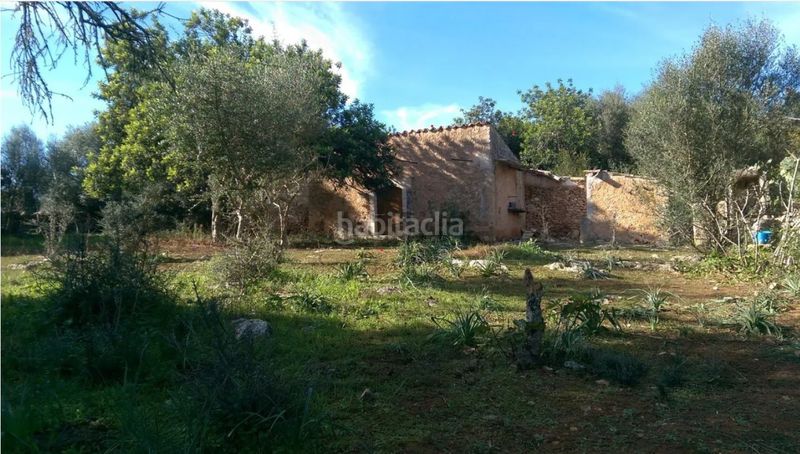 Foto bba07236-8c56-4761-9f3f-c1d19350cdc5. FInca rústica a llubi - polígono 7 a Zona Periurbana Inca
