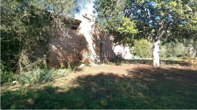 Foto cb0ea9b4-151a-4cb5-8c43-62cfe1fcb56f. FInca rústica a llubi - polígono 7 a Zona Periurbana Inca