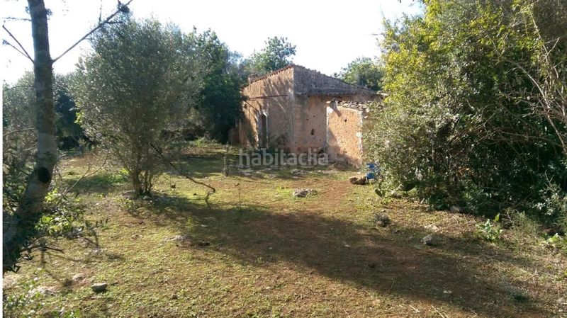 Foto fe6c2785-411f-4601-b1ed-21b6ddeb890a. FInca rústica a llubi - polígono 7 a Zona Periurbana Inca