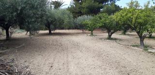 Terreny residencial a Busot. Suelo urbano en busot, alicante