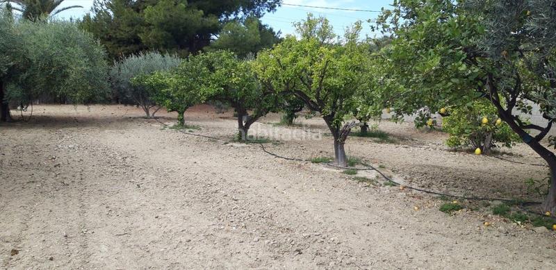 Foto 6967866c-9818-4880-988f-212f5518e3f3. Terrain résidentiel dans Busot