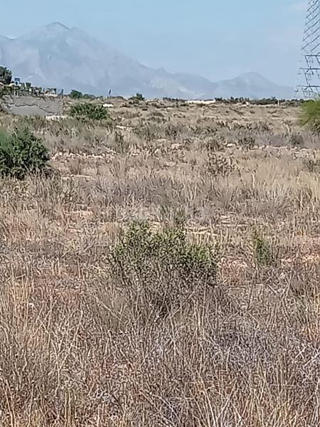 Foto 16be2aa3-7077-4289-81c6-61b697762af6. Terreno residenziale in Los Girasoles Sant Vicent del Raspeig