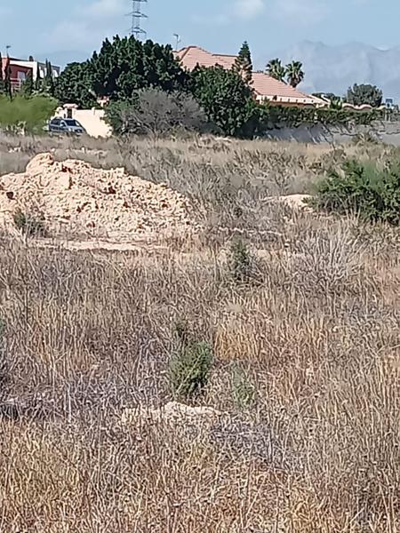 Foto 2034c4d3-3ab9-4c30-9975-0eec84205a9b. Terreno residenziale in Los Girasoles Sant Vicent del Raspeig