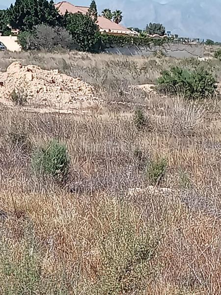 Foto 3302d2d6-5037-40c3-9d05-04753b532e9e. Terreno residenziale in Los Girasoles Sant Vicent del Raspeig