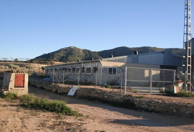 Foto e03557f4-f266-4bc3-b12a-9da843f25770. Bâtiment à usage industriel dans Romana (la)