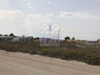 Rural plot in Fortuna. Parcela rustica.