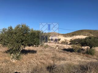 Finca rústica a El Fenazar - Campotéjar. Parcela rustica con agua y luz
