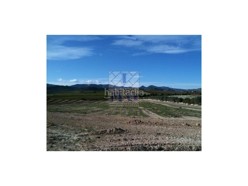 Foto 2d962427-e7e1-4ff2-bc58-957c45e2d708. Casa finca rustica. en Mula