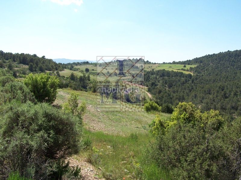 Foto 16c0189d-7ff3-4e2d-8081-f36c9f6fc67a. Masia a Yeste