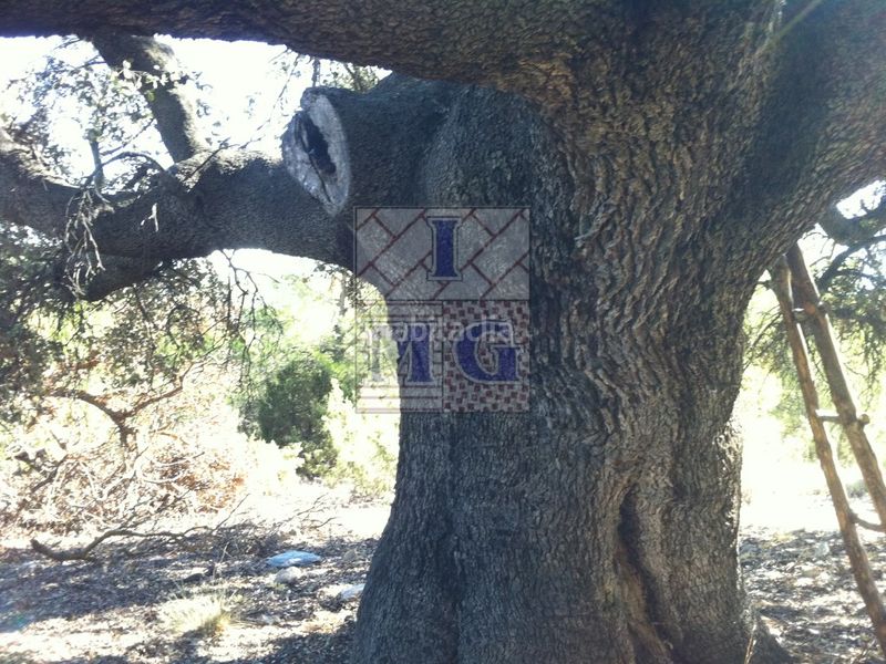 Foto 1b8f6d8e-3714-46a6-b65f-4ec3a6649f70. Masia a Yeste