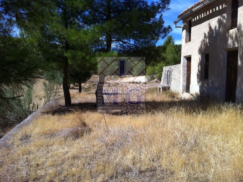 Foto 2001bd18-28b5-42a2-9a46-c1e4a620ff99. Masia a Yeste