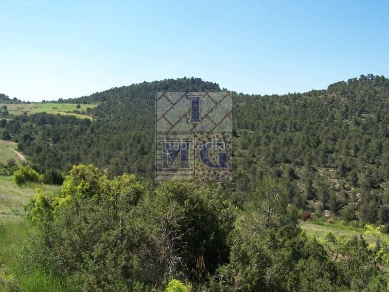 Foto 37a01298-1cc2-4c87-a45c-26f45629df23. Masia a Yeste