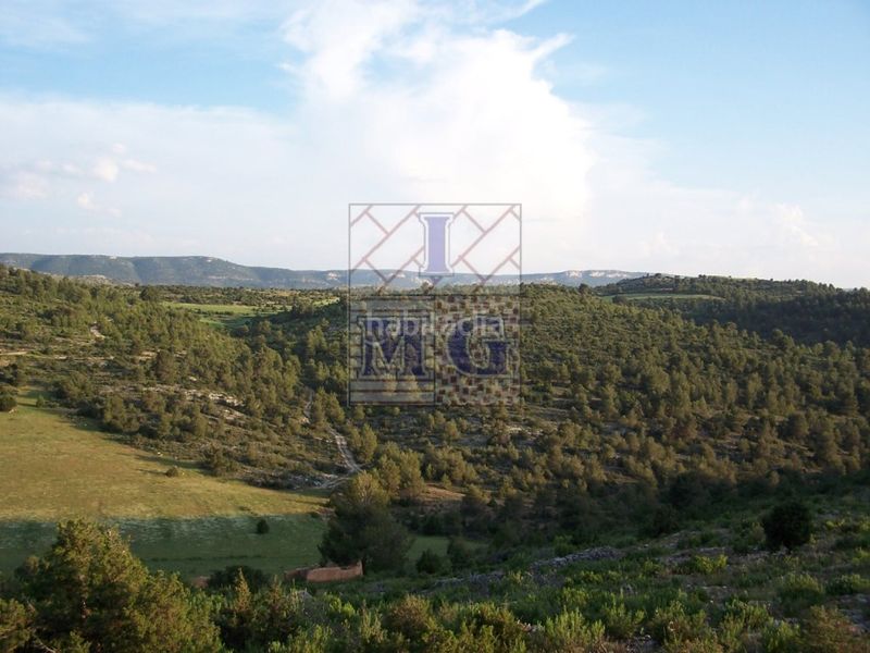 Foto 413d89f3-302c-4f12-9658-1626d6736184. Masia a Yeste