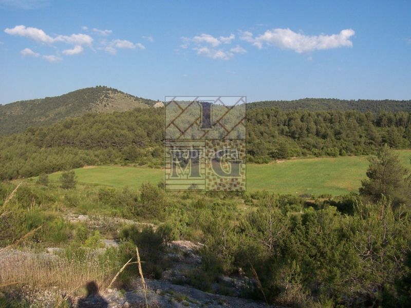 Foto 543b588b-a4de-4e42-83b0-cf1cdb03f7db. Masia a Yeste