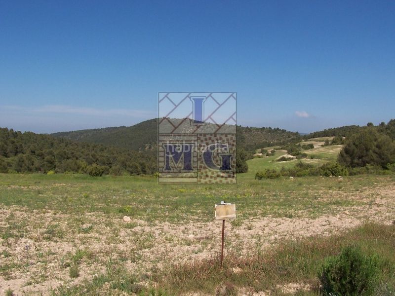 Foto 5e9c85d1-a21a-4391-b75b-1a059b53ddbe. Masia a Yeste